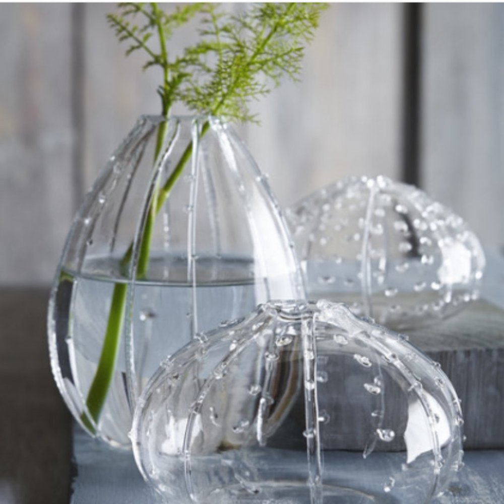 Roost: Sea Urchin Glass Vase